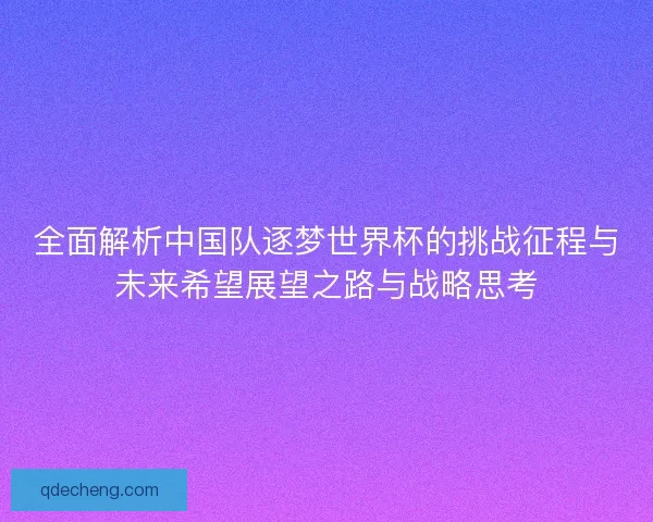 全面解析中国队逐梦世界杯的挑战征程与未来希望展望之路与战略思考